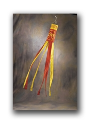 Iowa State Cyclones - Wind Sock 